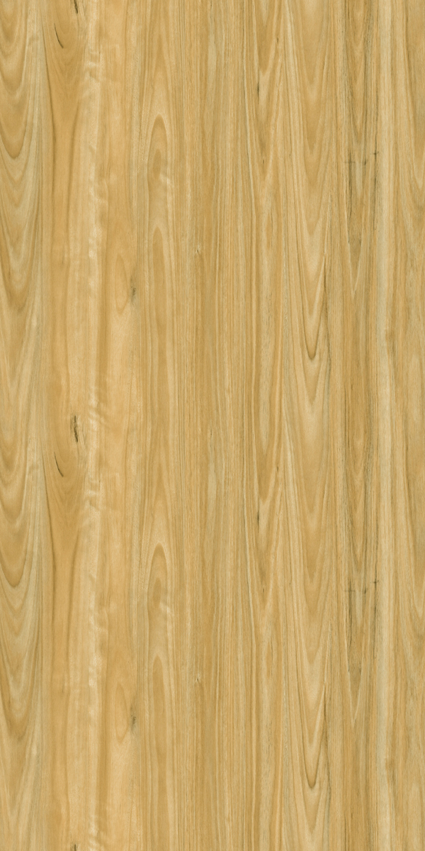 Salton Wood 13019 | Merino Decorative Laminate