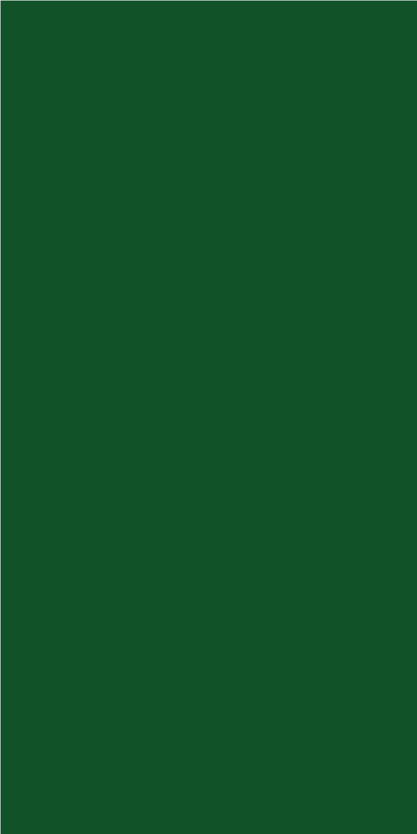 Neo Banana Leaf 21433 | Merino Decorative Laminate