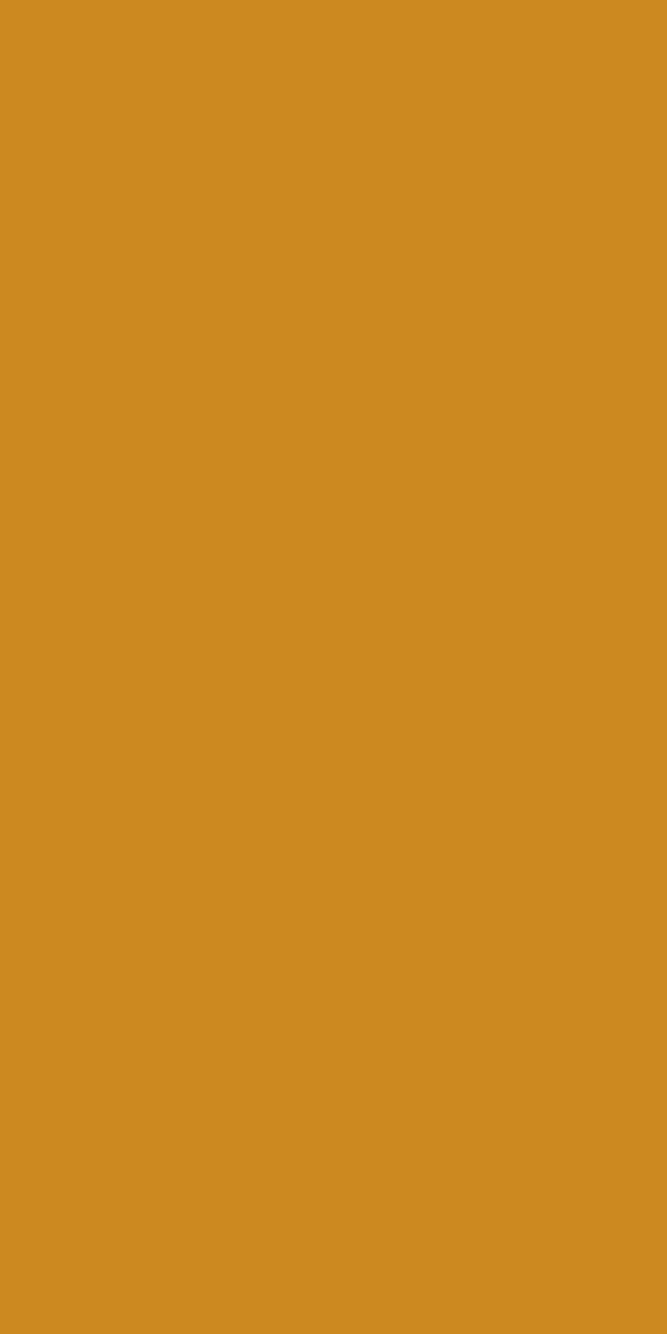 Neo Turmeric 21467 | Merino Decorative Laminate