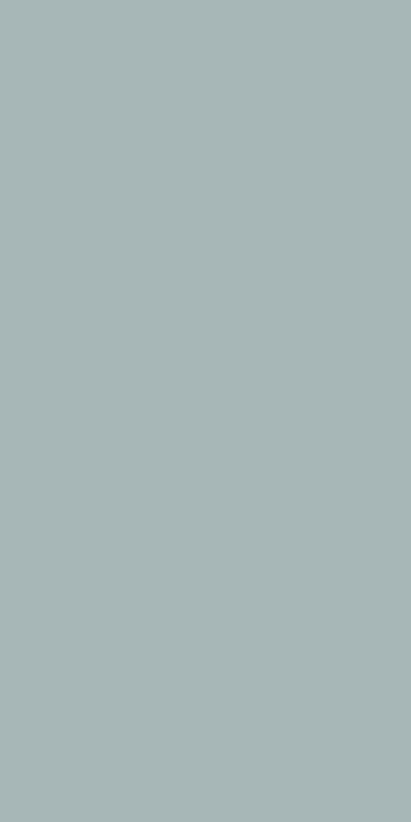 Ash Grey 21089 | Merino Decorative Laminate