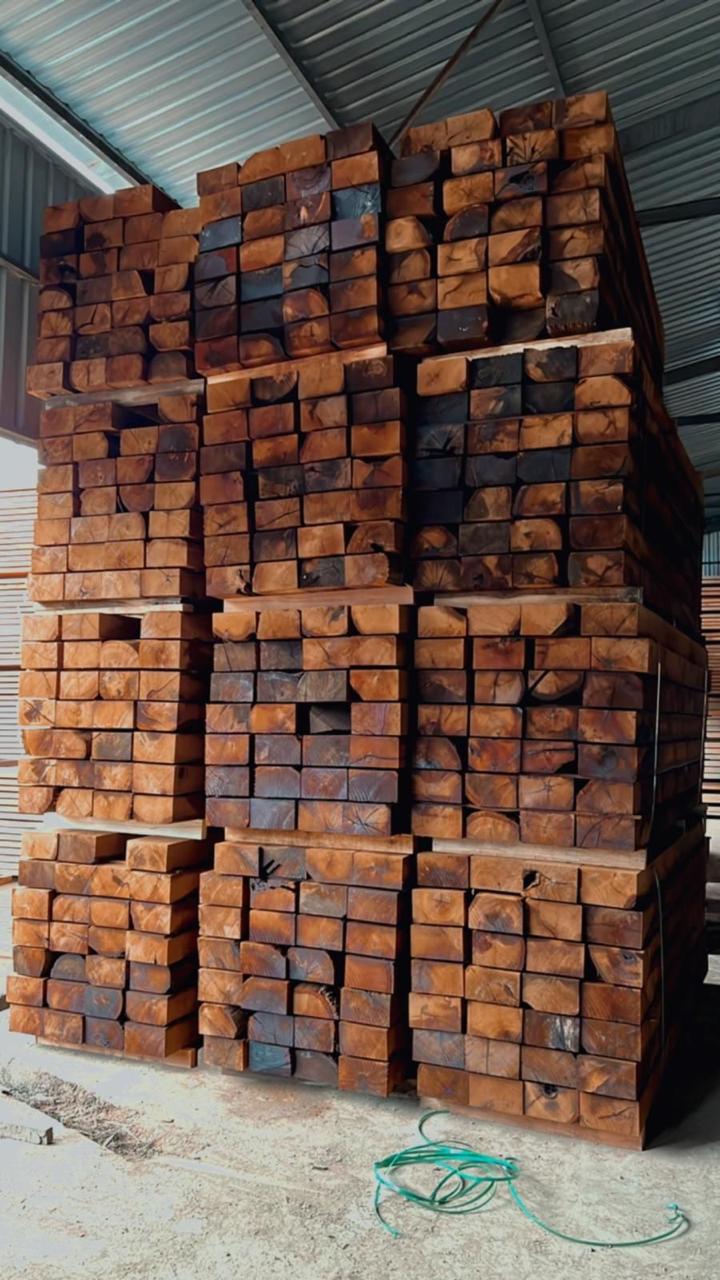 Natural Wood Veneer Collection Sample Set